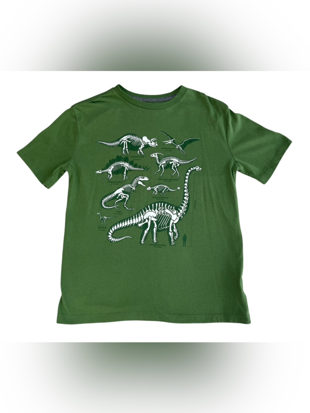 Old Navy Kids Green Dinosaur Skeleton Graphic Tee, Size Youth XL (14-16)
